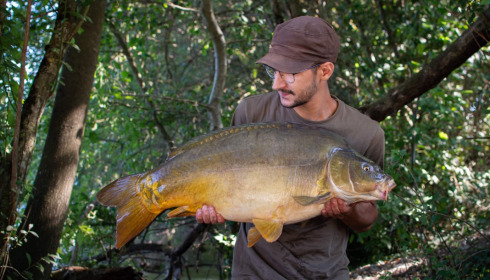A carp from Emeraude, Aug 2022