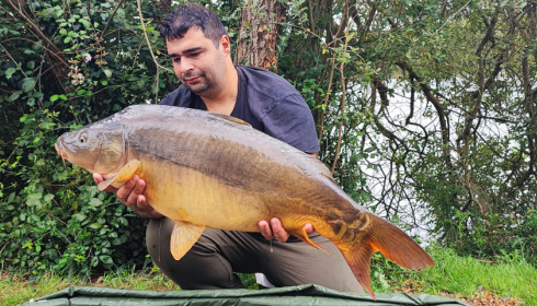 A carp from Emeraude, Aug 2023