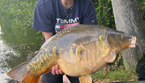 A carp from Emeraude, Aug 2023