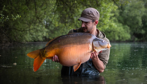 A carp from Emeraude, May 2022