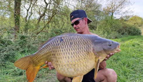 A carp from Emeraude, May 2022