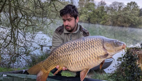 A carp from Emeraude, Apr 2023