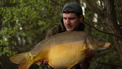 A carp from Emeraude, May 2023