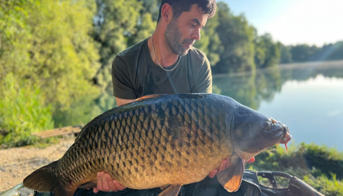 A carp from Evaro, Aug 2023