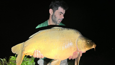 A carp from Evaro, Aug 2023