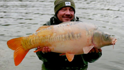A carp from Evaro, Additional Stocking, Dec 2021