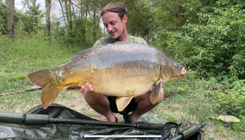 A carp from Evaro, Jun 2022