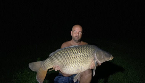 A carp from Evaro, Sep 2022