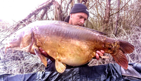 A carp from Evaro, Mar 2021