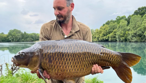 A carp from Evaro, Jun 2023