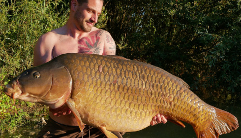 A 70 lb 8 oz carp from Evaro, Alexander D Denzey, Aug 2022