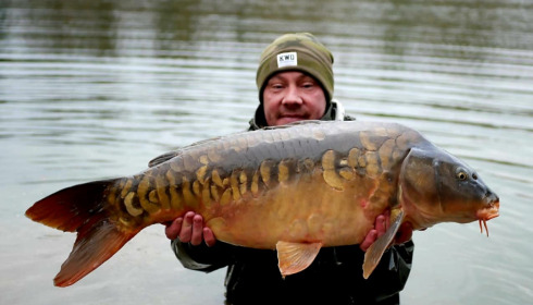 A carp from Evaro, Additional Stocking, Dec 2021