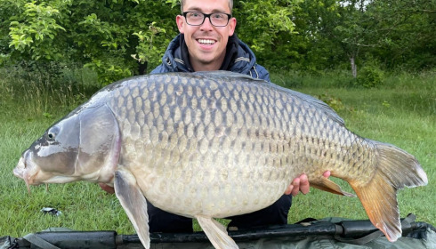 A carp from Evaro, Jun 2022