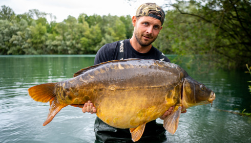 A carp from Evaro, James Rimmer, Aug 2023