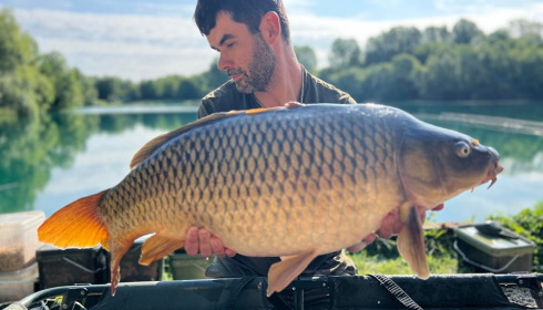 A carp from Evaro, Aug 2023