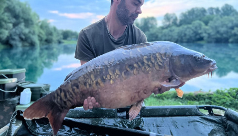 A carp from Evaro, Aug 2023