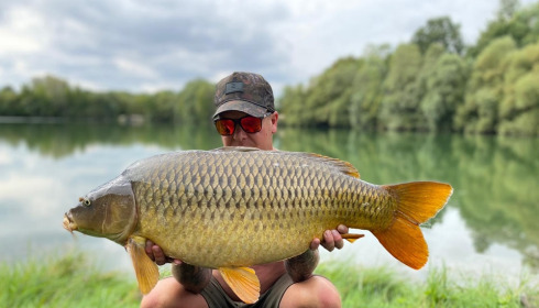 A carp from Evaro, Sep 2022