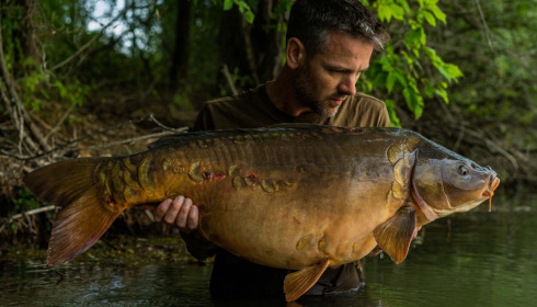 A carp from Evaro, Jun 2022