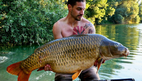 A 70 lb 3 oz carp from Evaro, Alex, Aug 2022