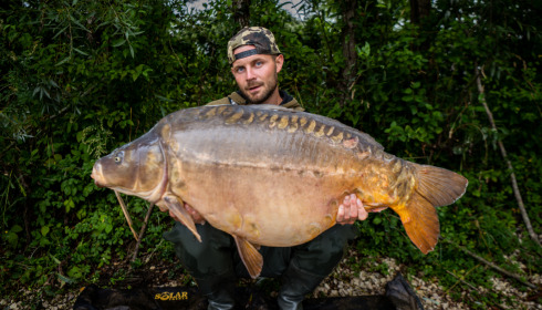 A carp from Evaro, James Rimmer, Aug 2023