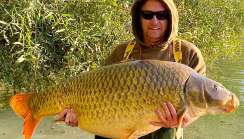 A carp from Evaro, Sep 2022