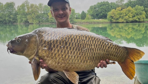 A carp from Evaro, Jun 2022