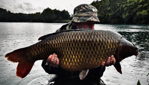 A carp from Evaro, Aug 2023