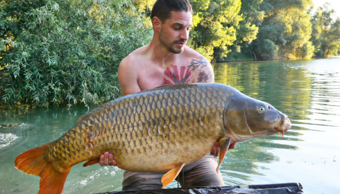 A 70 lb 8 oz carp from Evaro, Alexander D Denzey, Aug 2022
