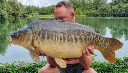 A carp from Evaro, Sep 2022