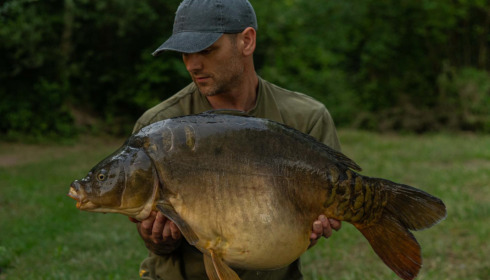 A carp from Evaro, Jun 2022