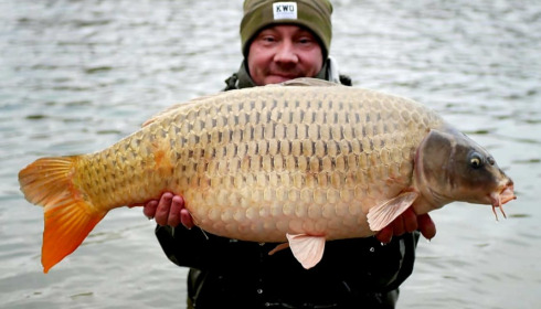 A carp from Evaro, Additional Stocking, Dec 2021