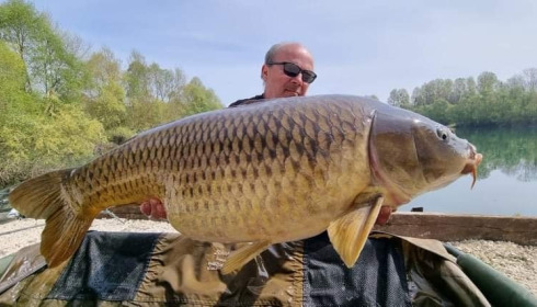 A carp from Evaro, Apr 2022