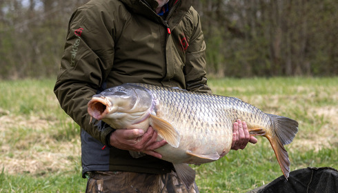 A 44 lb carp from Evaro, Apr 2022