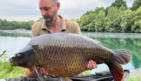 A carp from Evaro, Jun 2023