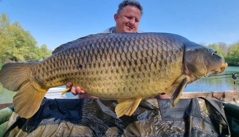 A carp from Evaro, Apr 2022