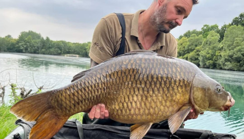 A carp from Evaro, Jun 2023