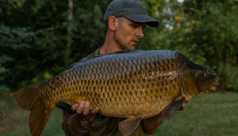 A carp from Evaro, Jun 2022