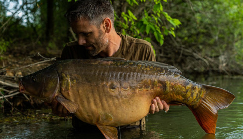 A carp from Evaro, Jun 2022