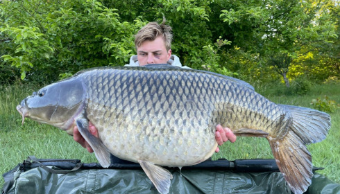 A carp from Evaro, Jun 2022