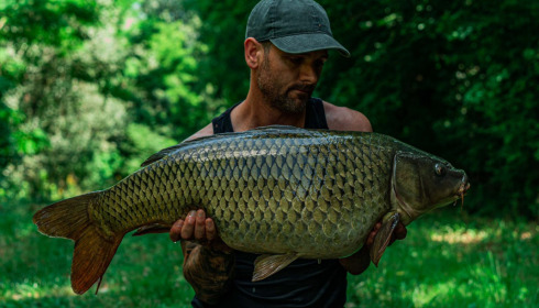 A carp from Evaro, Jun 2022