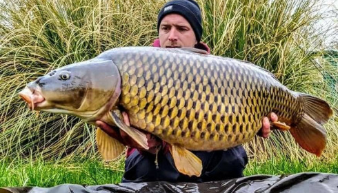 A carp from Evaro, Mar 2021