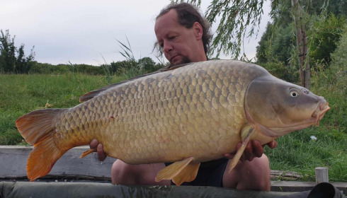 A carp from Fullys Lake, Jul 2023