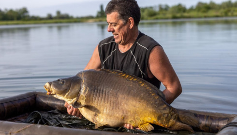 A carp from Fullys Lake, May 2022