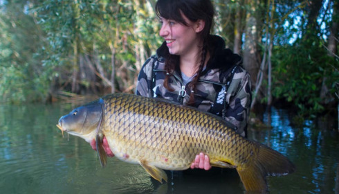 A carp from Fullys Lake, Feb 2022