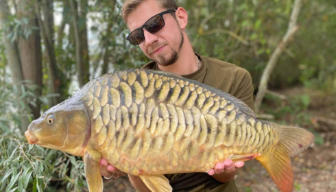 A carp from Fullys Lake, Feb 2022