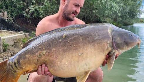 A carp from Fullys Lake, Aug 2023