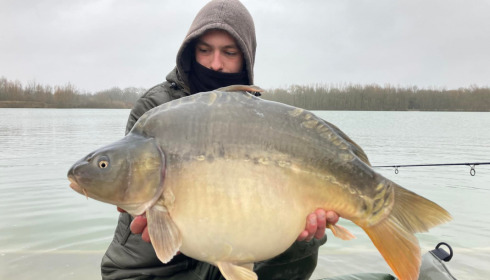 A carp from Fullys Lake, Feb 2022