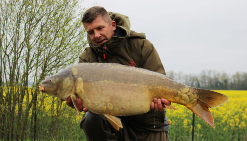 A carp from Fullys Lake, May 2023