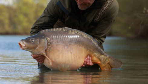 A fish from Fullys Lake, Apr 2023