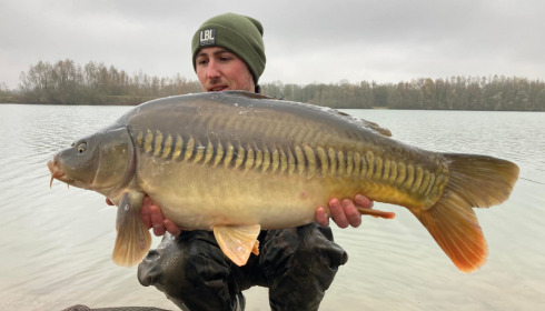 A carp from Fullys Lake, Jan 2022